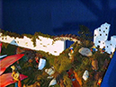%_tempFileName030%20presepio%202006%20%